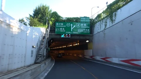 Tokyo / Japan (Moving image) Stockbeeldmateriaal 101359391
