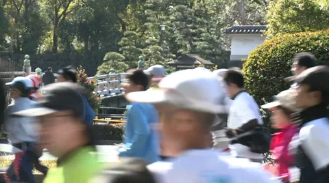Tokyo Marathon Stock Footage 31207352