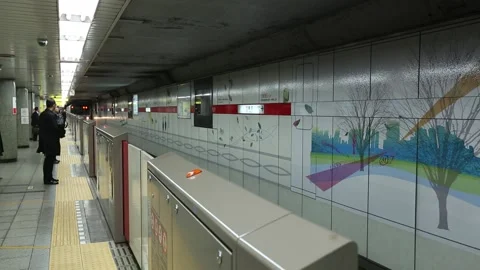 Tokyo Metro Stock Footage 203785769