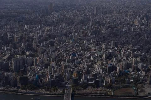 Tokyo Metropolis Stock Photos