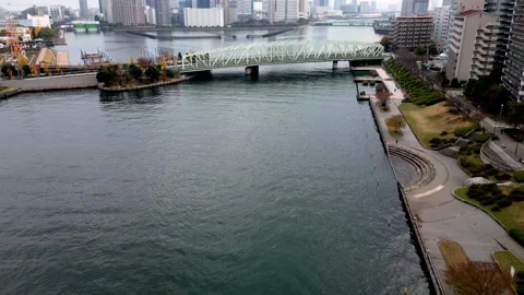 Tokyo in Motion: A Hyper-Lapse Drone Tour of the City 動画素材 227049011