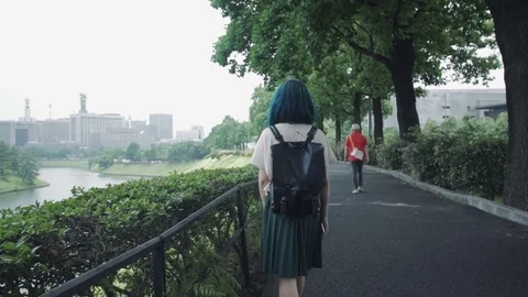 Tokyo park Stock Footage 77534086