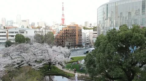 Tokyo park in spring Stock Footage 22417642