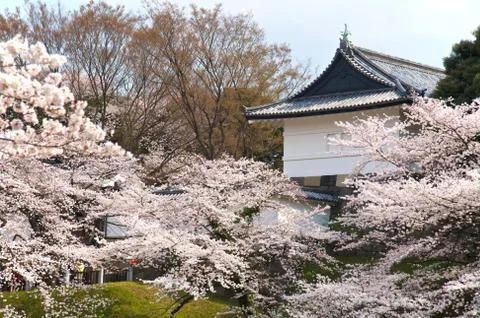 Tokyo Stock Photos