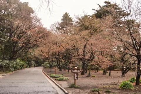 Tokyo Foto stock