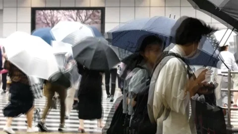 Tokyo prepares for arrival of Typhoon Meari, Tokio, JP - 13 Aug 2022 Stock Footage 204506385