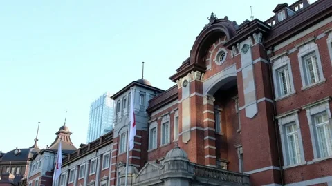 TOKYO RAILWAY STATION Video stock 84290002