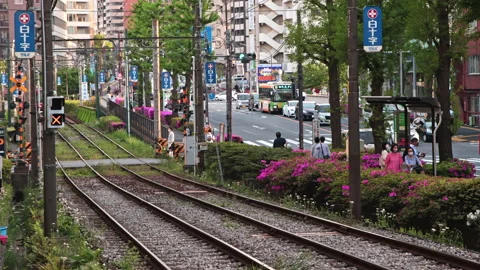 Tokyo Sakura Tram passing through level crossing Video stock 185642073