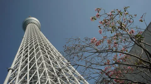 Tokyo Sky Tree 3 Stock Footage 24868273