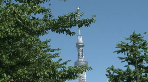 Tokyo Sky Tree 動画素材 31486109