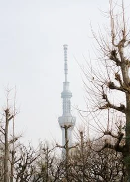 Tokyo Sky Tree Stock Photos