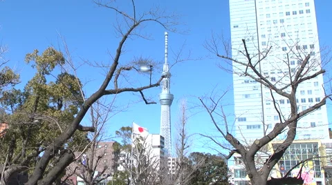 Tokyo Sky tree,Japanese flag Stock Footage 46569266
