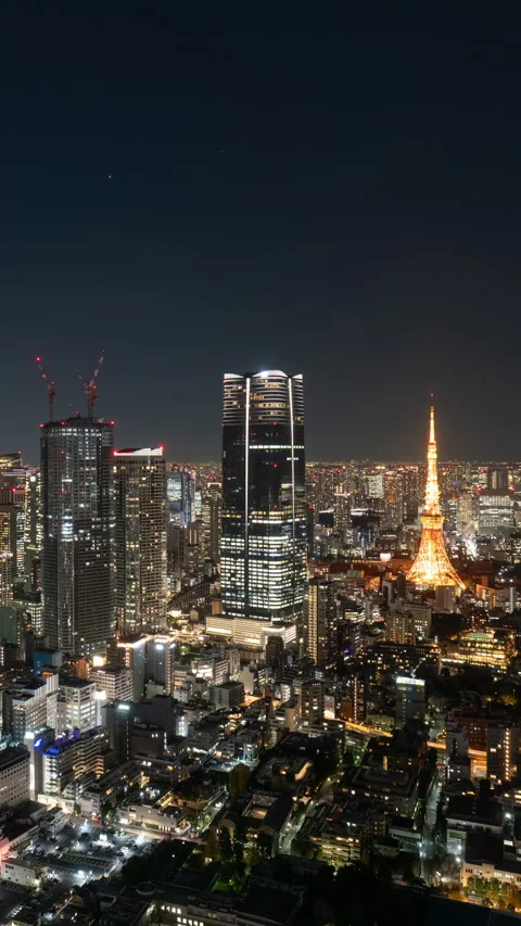 Tokyo Skyline at Night Vertical Timelapse) Stock Footage 301030951