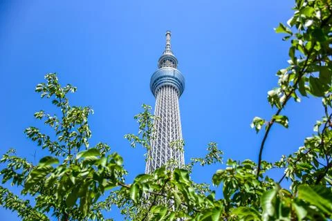 Tokyo Skytree, a famous tower and landmark of Tokyo Stock Photos