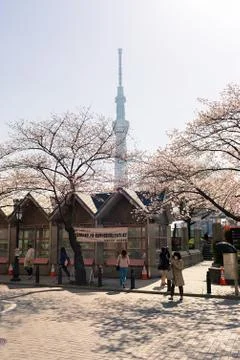Tokyo Skytree Stock Photos
