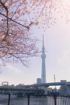 Tokyo Skytree 스톡 사진
