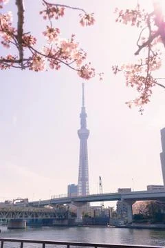 Tokyo Skytree Stock Photos