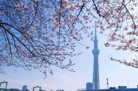 Tokyo Skytree 스톡 사진