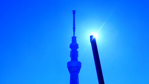 Tokyo Skytree, Seagulls, and Rays of Sunshine Stock Footage 330328797