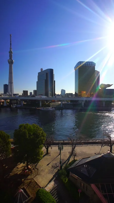 Tokyo Skytree, Sumida River, Sumida Park, and Rays of Sunlight Stock Footage 331116983