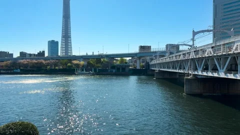 Tokyo Skytree tower and the adjacent Tokyo Solamachi skyscraper. Vídeos de archivo 334579123