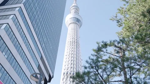 Tokyo Skytree tower with blue sky behind Stock Footage 225377988