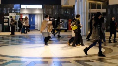 Tokyo Station Commuters Video stock 114268885