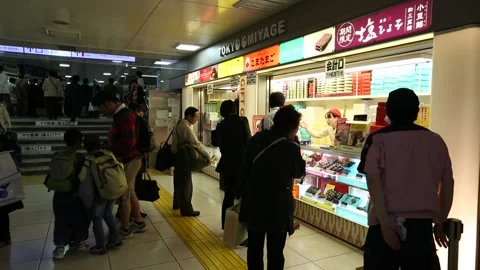 Tokyo Station Stock Footage 203802601
