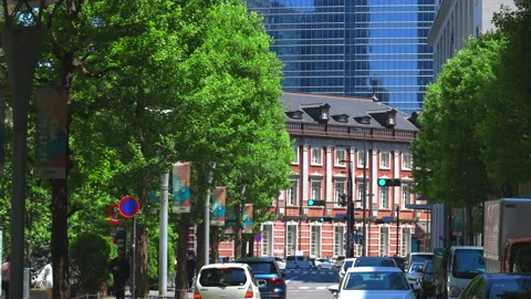 Tokyo Station stands among rows of fresh green trees in Marunouchi Tokyo Vídeo Stock 210044402