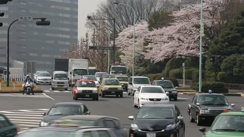 Tokyo Street Scene Stock Footage 203780614