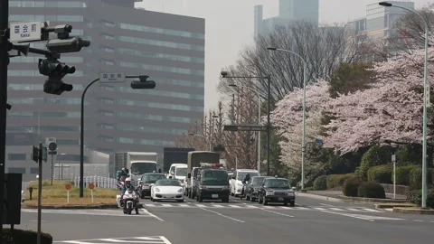 Tokyo Street Scene Stock Footage 203780926
