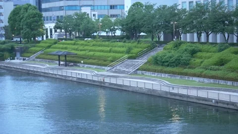 Tokyo Sumida River 2021May Video stock 154881682