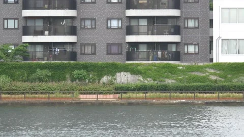 Tokyo Sumida River 2021May Video stock 154882195