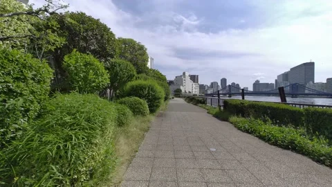 Tokyo Sumida River stroll video 2022 Video stock 194528277