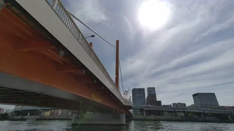 Tokyo Sumida River stroll video 2022 Video stock 194528440