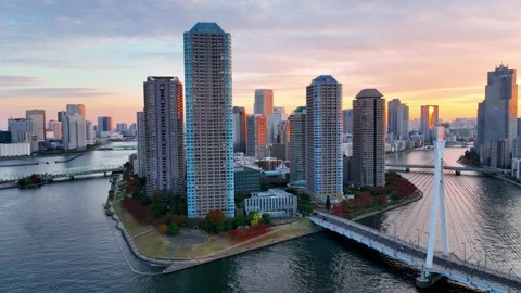 Tokyo sunset above Sumida River, aerial Tokyo cityscape with modern skyscrapers 스톡 동영상 221281741