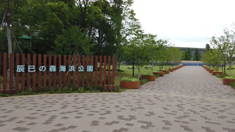 Tokyo Tatsumi Video stock 148065715