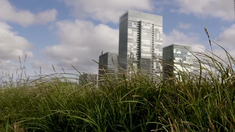 TOKYO TERRACE GRASS FOREGROUND Video stock 93192805