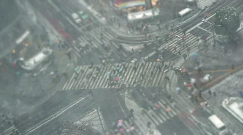 TOKYO - TILT - Crowd and Snow at Shibuya Crossing, Close up Stock Footage