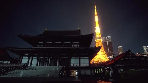 Tokyo Tower at Night 스톡 동영상 282660742