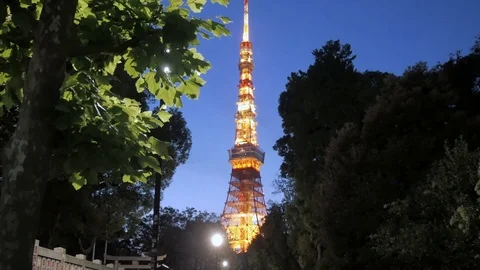 Tokyo tower in night sunset time with wind blowing the tree Stock Footage 119269078