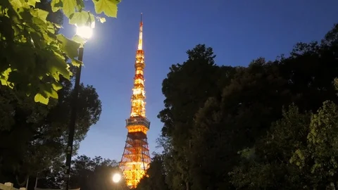 Tokyo tower in night sunset time with wind blowing the tree Stock Footage 119269101