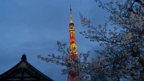TOKYO TOWER Stock Photos