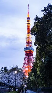 TOKYO TOWER Stock Photos