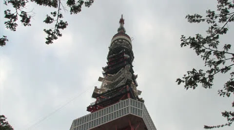 Tokyo tower,Tree3 Stock Footage 22877994