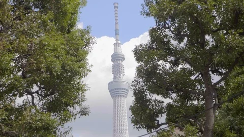 Tokyo TV Tower Video stock 98466673