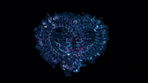 Toll-like receptor 13, rotating model Stock Footage 73040674