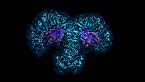 Toll-like receptor 4, rotating model Stock Footage 73040734