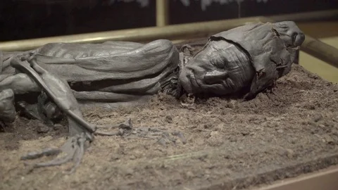 Tollund Man Video stock 83236178