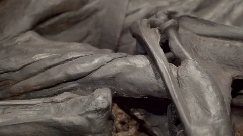 Tollund Man Video stock 83236736